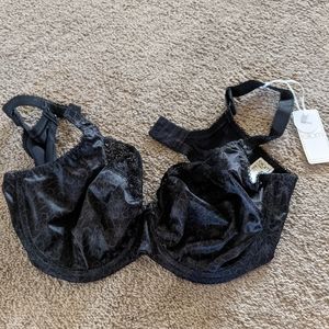 Elomi Women's Black Bra 36F